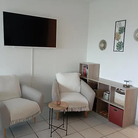 Apartment Grand Les Pieds Dans L'eau San-Nicolao