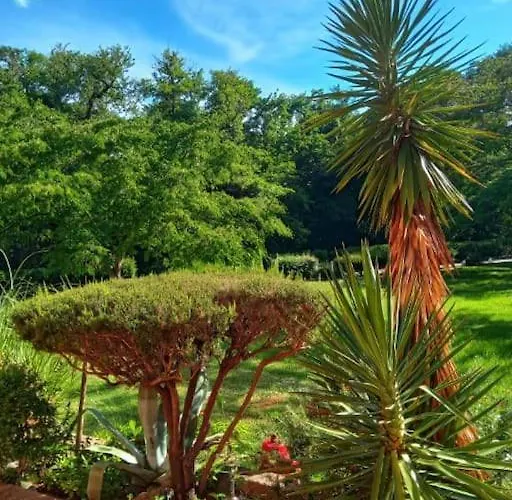 Apartmán Grand Les Pieds Dans L'eau *