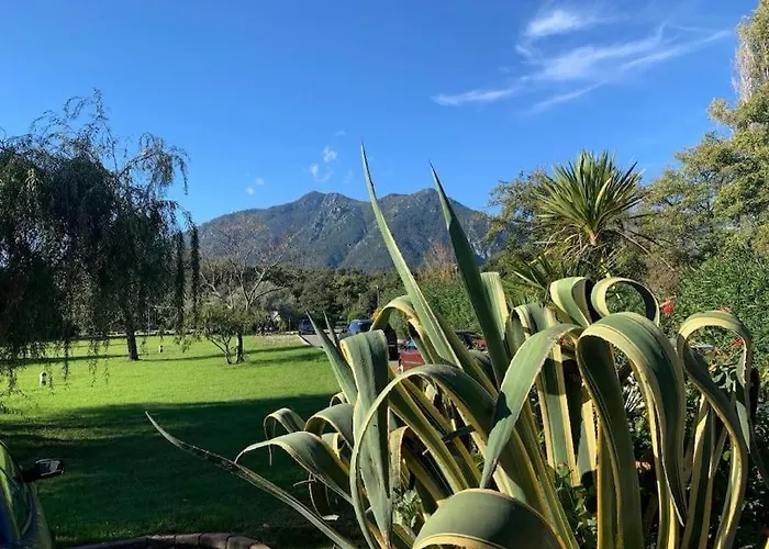 Grand Les Pieds Dans L'eau *